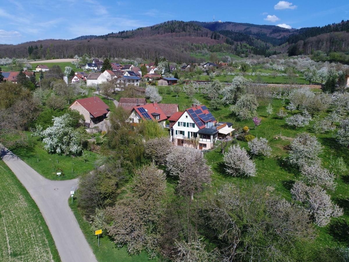 Appartement Haus Am Blauenbach à Schliengen Extérieur photo